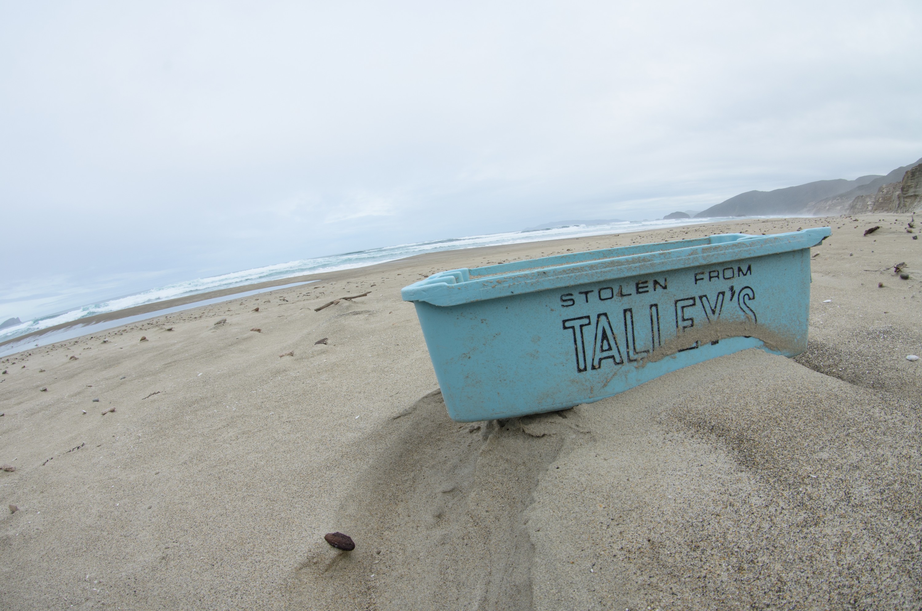 DSC_2021 – Adventure, Bay, Crispin, Island, March 2017, Mason, Mason Bay, National Park, New, New Zealand, Rakiura, South, Stewart, Zealand